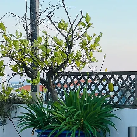 The Lemon Tree House By Intiholidays * Boliqueime