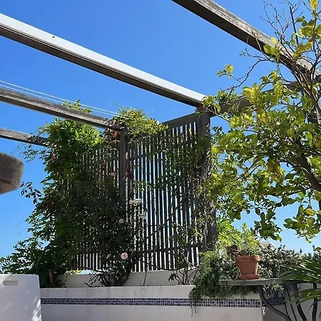 Сasa de vacaciones The Lemon Tree House By Intiholidays Boliqueime