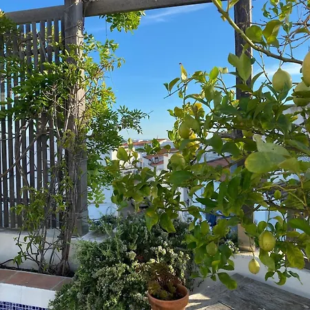 Ferienhaus The Lemon Tree House By Intiholidays *