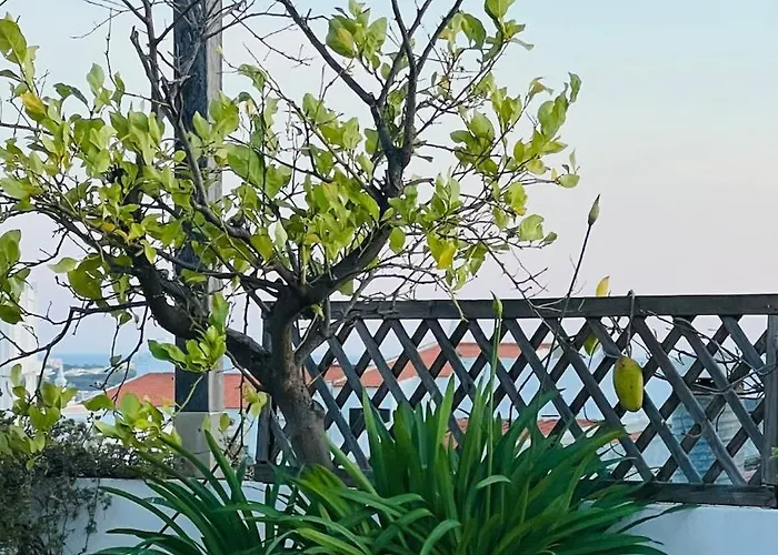 The Lemon Tree House By Intiholidays * Boliqueime