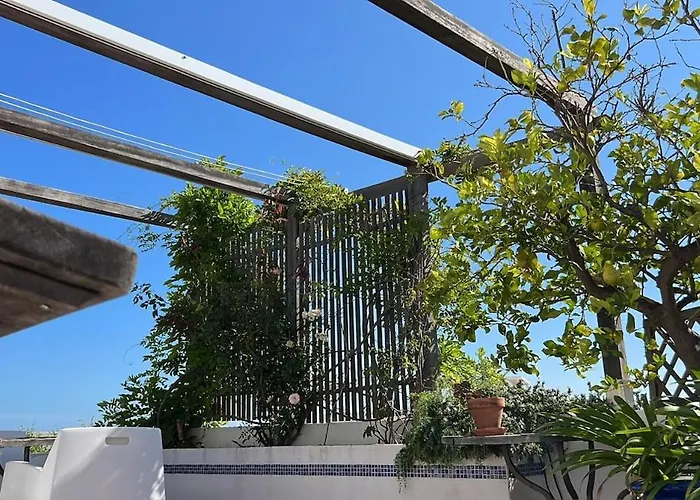 Dom wakacyjny The Lemon Tree House By Intiholidays Boliqueime