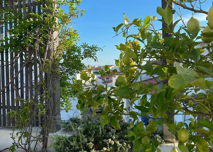 Dom wakacyjny The Lemon Tree House By Intiholidays *